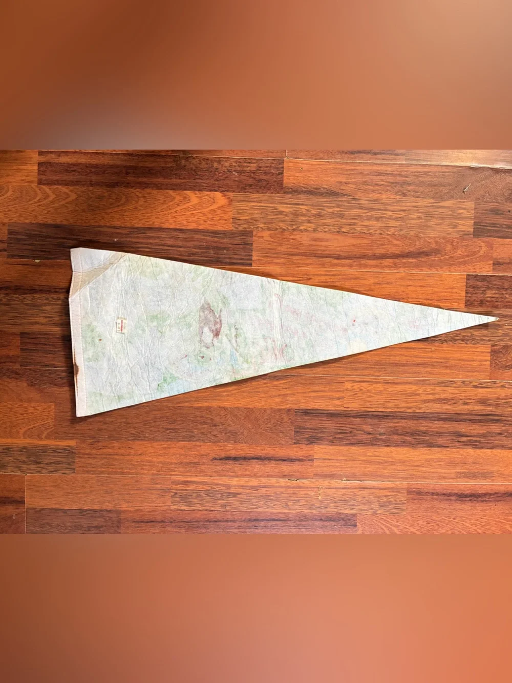Vintage Felt Souvenir Pennant from Busch Gardens Tampa, Florida